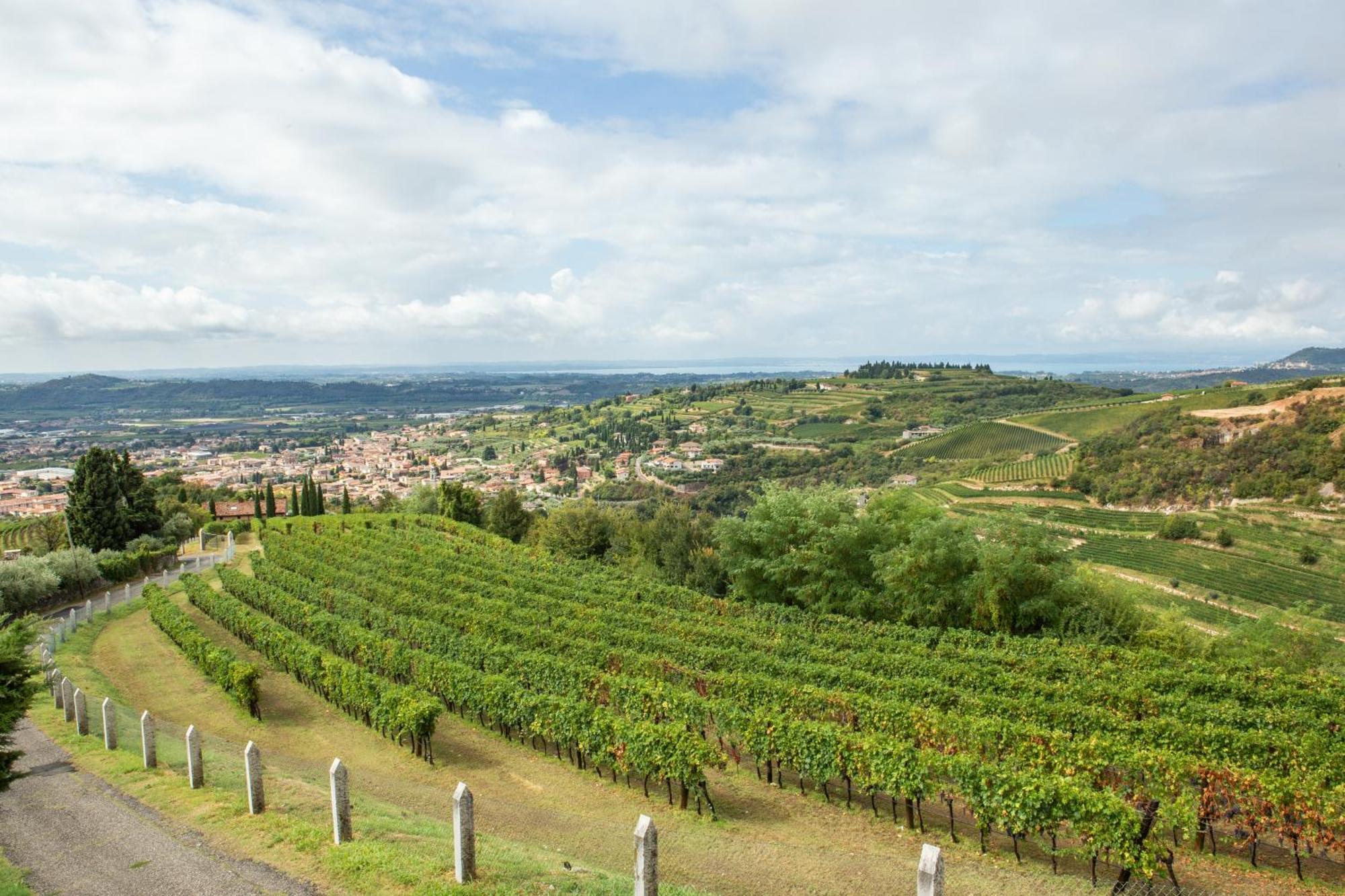 Villa San Giorgio SantʼAmbrogio di Valpolicella المظهر الخارجي الصورة